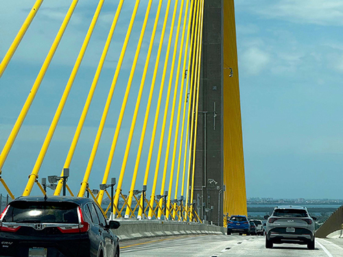 Sarasota, Tampa, or St. Petersburg Image 500x375